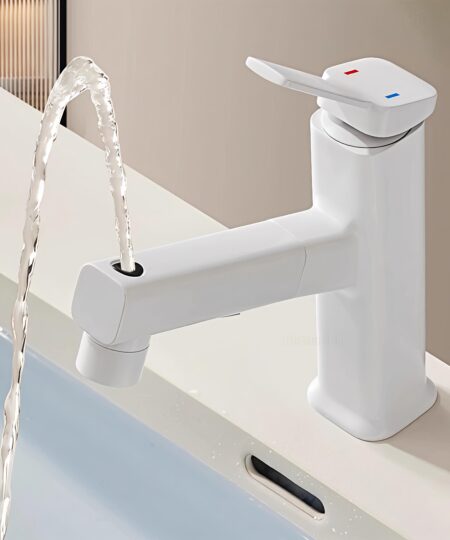 Cold and Hot Water Brass Kitchen Rotary Faucet Bathroom Faucet with Pull Out Shower